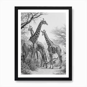 Herd Of Giraffe By The Tree 4 Art Print