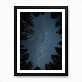 Landscapes Raw 21 Kings Canyon (Usa) Art Print