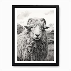 Black & White Illustration Of Highland Sheep Art Print