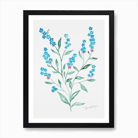 Forget-me-not 1 Art Print