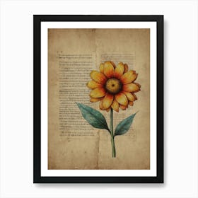 Flower In A Book Art Print