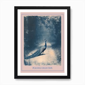 Peacock In The Wild Blue Cyanotype 4 Poster Poster