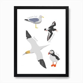 Sea Birds Art Print