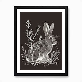 Californian Rabbit Minimalist Illustration 3 Art Print
