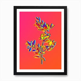 Neon Fontanesia Phillyreoides Botanical in Hot Pink and Electric Blue n.0388 Art Print