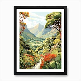 Kirstenbosch Botanical Gardens South Africa Modern Illustration  Art Print