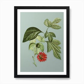Vintage Paper Mulberry Flower Botanical Art on Mint Green n.0955 Art Print