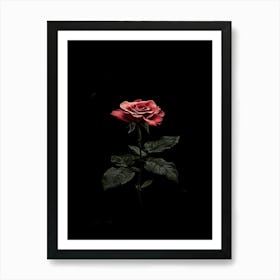 Dark Rose 117 Art Print