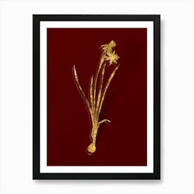 Vintage Narcissus Calathinus Botanical in Gold on Red n.0180 Art Print