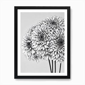 Chrysanthemums B&W Pencil 2 Flower Art Print