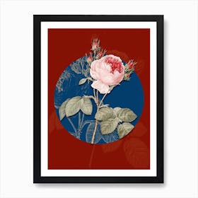 Vintage Botanical Pink Cabbage Rose on Circle Blue on Red n.0006 Art Print