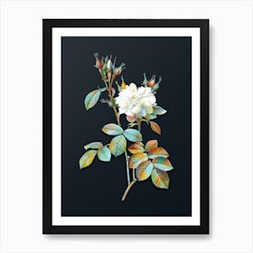 Vintage Autumn Damask Rose Botanical Watercolor Illustration on Dark Teal Blue n.0010 Art Print