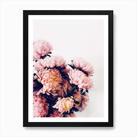 Pink Flowers Art Print