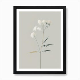 Meadowsweet Herb Simplicity Art Print