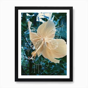 Butterfly Hibiscus Art Print