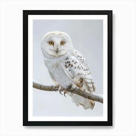 Snowy Owl Art Print