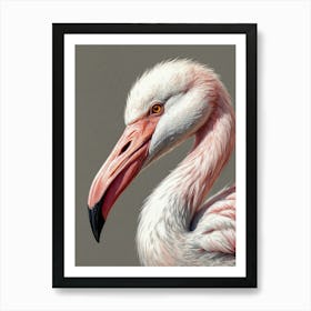 Flamingo 5 Art Print