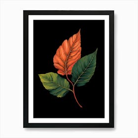 Autumn Leaves On Black Background Art Print