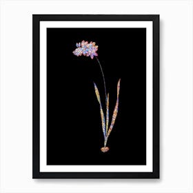 Stained Glass Ixia Filiformis Mosaic Botanical Illustration on Black n.0211 Art Print