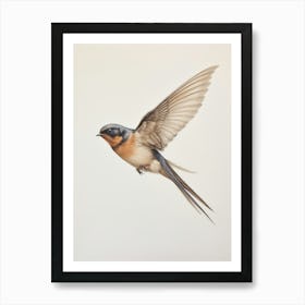 Vintage Bird Drawing Barn Swallow Art Print
