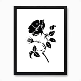 Rose II, Aga Szafranska Art Art Print