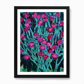 Rose Campion Art Print