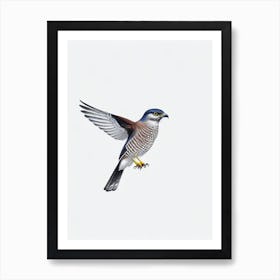 Eurasian Sparrowhawk B&W Pencil Drawing 3 Bird Art Print