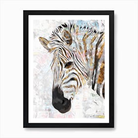 Zebra Canvas  Print Art Print