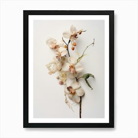 Pressed Wildflower Botanical Art Orchid Art Print