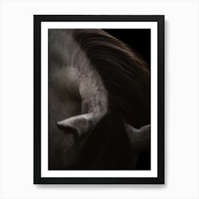 Bending neck of a horse - Belgium horse close up photo print - moody animal photography art Art Print