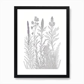 Lavender Herb William Morris Inspired Line Drawing 1 Art Print