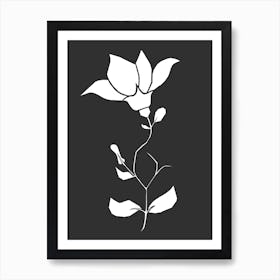 Rose Art Print