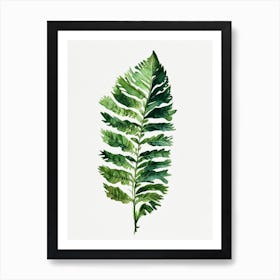 Japanese Tassel Fern Watercolour Art Print