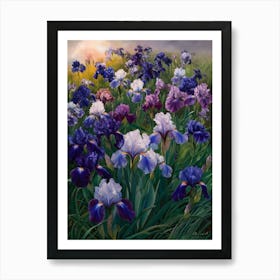 Iris Field Art Print