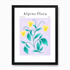 Alpine Flora Heartsease Art Print