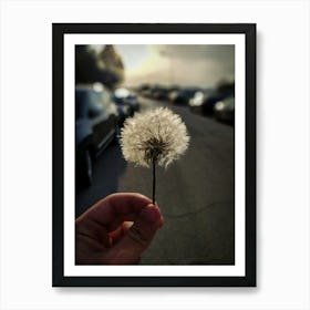 Dandelion Art Print