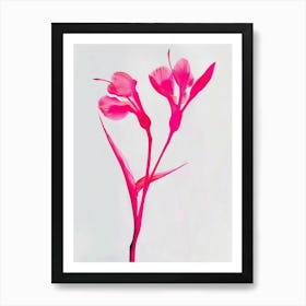 Hot Pink Heliconia 1 Art Print