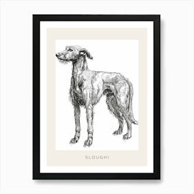 Sloughi Dog Line Sketch 3 Poster Art Print