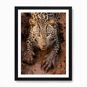 African Leopard Muddy Paws Realism 2 Art Print