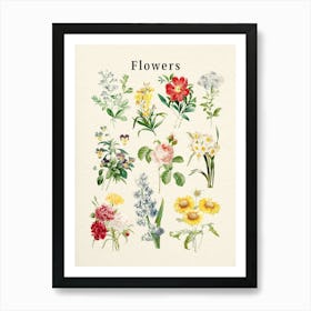 Flowers Collection Art Print