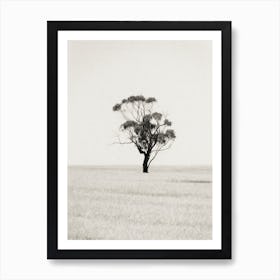 The Lone Tree Art Print
