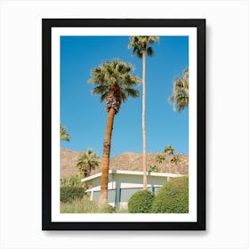 Palm Springs Architecture VI on Film Art Print