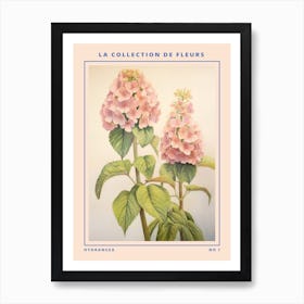 Hydrangea French Flower Botanical Poster Art Print