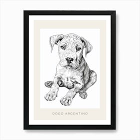 Dogo Argentino Dog Line Sketch 1 Poster Art Print