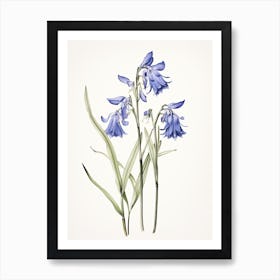 Bluebells Flower Vintage Botanical 0 Art Print