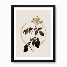 Gold Ring Big Leaved Climbing Rose Glitter Botanical Illustration n.0068 Art Print