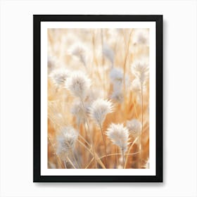 Boho Dried Flowers Cornflower 2 Art Print