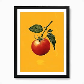 Tomato Art Print