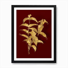 Vintage Northern Bush Honeysuckle Flowers Botanical in Gold on Red n.0355 Art Print