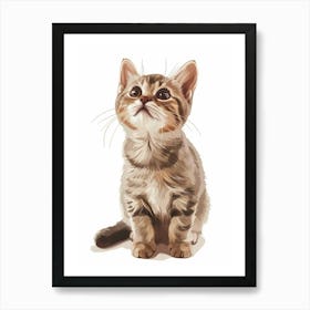 American Shorthair Cat Clipart Illustration 2 Art Print